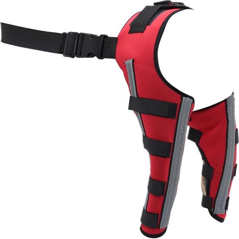 Genouillère pour Chien,Protection des Blessures du Genou (1/5)