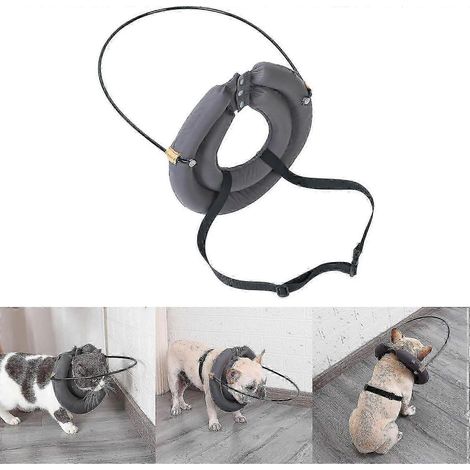 Harnais Halo pour chien aveugle (1/4)