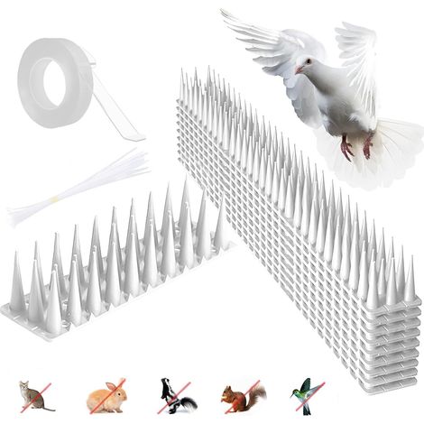 Pic Anti Pigeon, 10 Pièces Pic Anti Oiseaux Plastique, Pique Anti Pigeon Balcon 4.3 M, Pique Anti Oiseaux, Pointe, Repulsif pour Pigeons, Corbeaux, Moineaux, Chats (10, Transparent) (1/5)