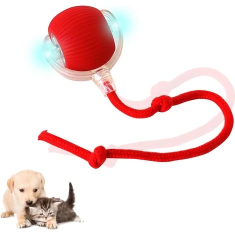 Jouet Chat Interactif Balle, 360° Balle AutomatiqueBalle avec Queue Boule MagiqueChat pour Chat et Chien (1/5)