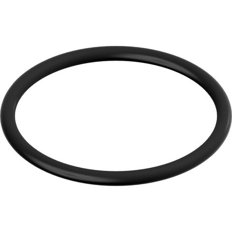BOSCH Ersatzteil TTNR: 87002051590 O-Ring (10x)