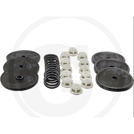 Reparatursatz für Membranpumpe BP 205K BP 235K ANNOVI 6705026035100