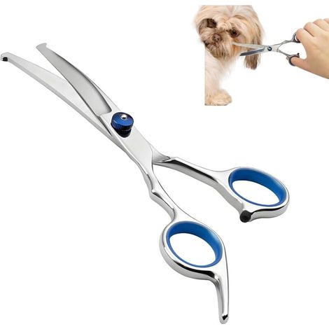 Ciseaux de toilettage professionnels en acier inoxydable pour chiens et chats, avec embouts de sécurité arrondis, ciseaux courbés, parfaits pour le visage, les pattes, le corps et le toilettage des an (1/5)