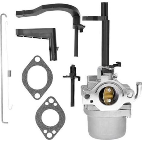 Adecuado para carburador 697978 5Bsxs-3422ht 27601 276010 695116