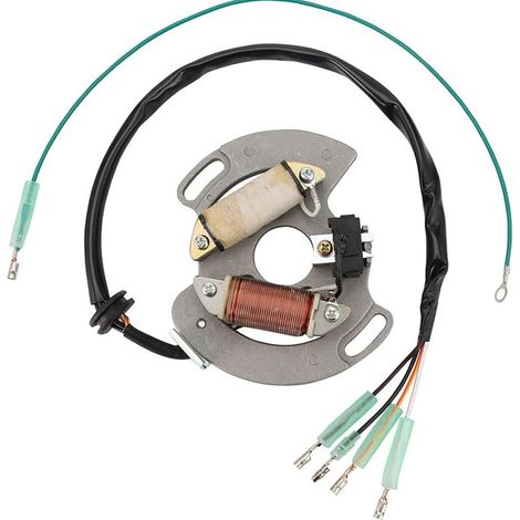 Stator kompatibel mit Yamaha 3JM-85560-00 YFS200 Blaster 1988-1989 1990-2002 (1/4)