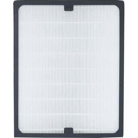 Compatible avec les éléments filtrants de purificateur d'air 200/300 (203, 303, 205). (1/5)