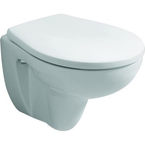 Geberit – Abattant WC amovible blanc – Charnières inox – Compatible WC N° 204545 – Série RENOVA COMPACT
