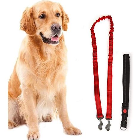 Harnais et Laisse pour chien 190 cm Ceinture réglable 55 à 90 cm Longe Elastique Balade Jogging KZ GARDEN (1/5)
