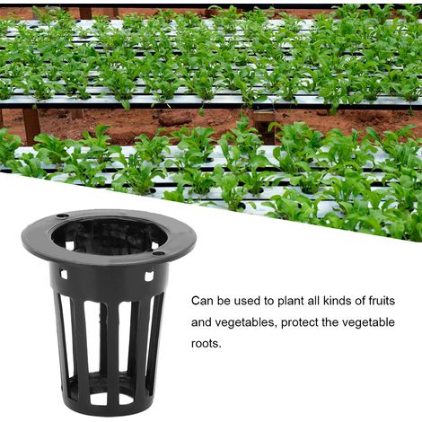 Lot 100 Pots de Culture Hydroponique en PP Noir pour Serre, Sans Terre (1/5)