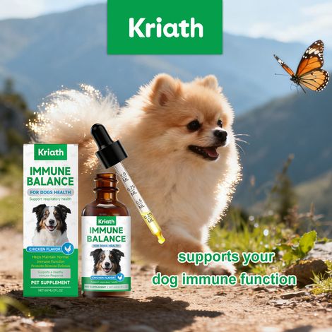 Gouttes immunitaires à base de plantes spécialement conçues pour les chiens, adaptées à tous les chiens, complément alimentaire en plusieurs parties pour le soin des animaux de compagnie – 60 ml (1/5)