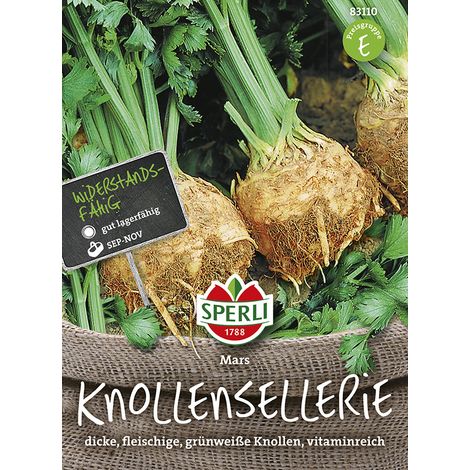 Sperli – Céleri-rave Mars (Apium graveolens) – Graines de légumes, gros bulbes, bonne conservation, hauteur env. 45 cm (1/2)