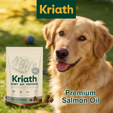 Canine intestinal care complex supplements nutrition, promotes smooth coat, provides daily protection, and is easy to feed -- 60 SOFT CHEWS -- BIEMMEDUE (1/5)