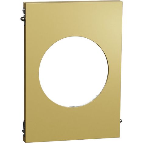 Plaque de finition 1 poste - Odace Architecte 2025 - S932801 - Schneider - Effet laiton