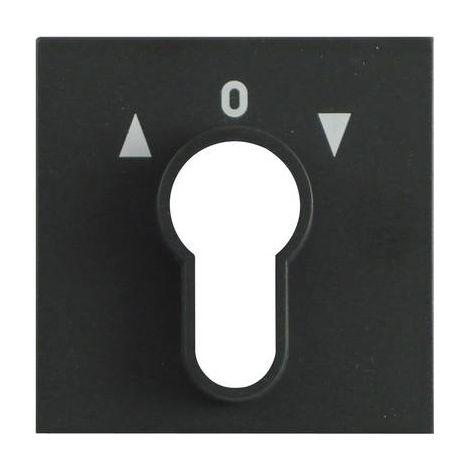 Gira Copr. interr. a chiave/-pulsante System 55 Antracite [066428], 0664 28