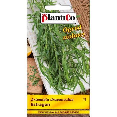 Semi plantico artemisia dracunculus perenne sole facile