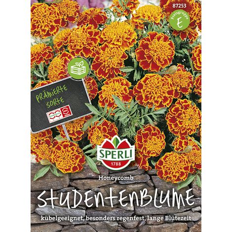 Sperli – Œillet d'Inde (tagète) Honeycomb – Graines de fleurs, annuel, fleurs doubles, hauteur env. 25 cm (1/2)