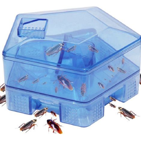 Reusable Non-Toxic Cockroach Trap Box, Home Kitchen Insect Catcher (1/5)