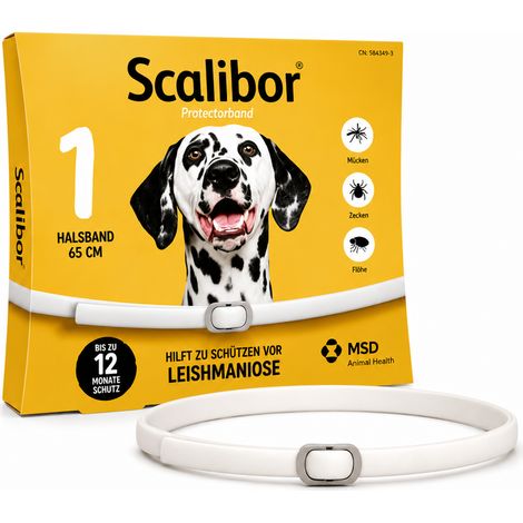 Floh- und Zeckenhalsband für Hunde 65 cm – 12 Monate Schutz – Wasserdicht – Verstellbar – Gegen Flöhe, Zecken und Mücken