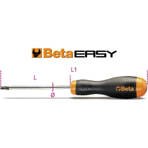 GIRAVITE EASY IMPRONTA TORX 6X100 T40