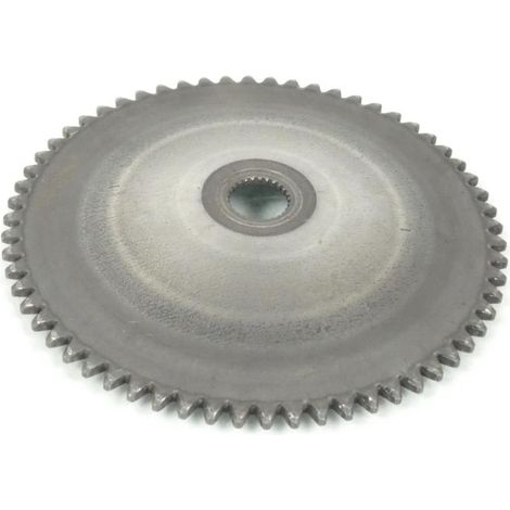[GEBRAUCHT] Original-Variator mit fester Wange für Lifan 50 139QMB-Roller, (1/5)