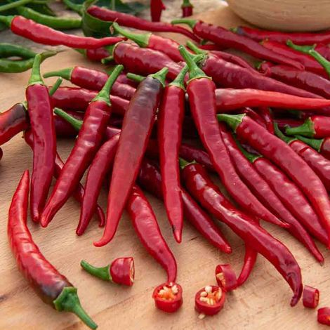 Piment de Cayenne Vilmorin (1/2)