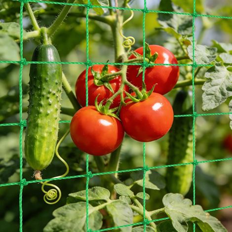 Filet pour Plantes Grimpantes, 0.9 x 1.8M Support Plante Grimpante Filet Jardin Potager, Filet Plante Grimpante Exterieur, Treillis Jardin Filets (1/5)