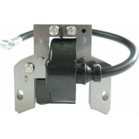 Bobine allumage Briggs et Stratton 591420 (1/4)
