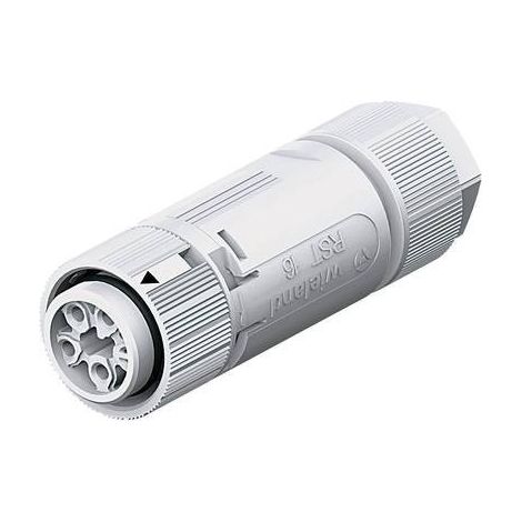 Wieland  46.051.4554.0 Connettore circolare Giunto dritto Serie: RST® MINI Tot poli: 3 + PE 1 pz.
