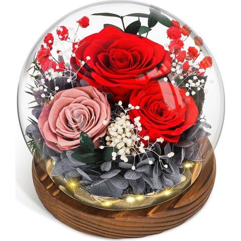Rose Éternelle, Cadeau de Fête des Mères pour Elle Verre avec Boule de Cristal Lumineuse pour Femme Maman Petite Amie Epouse Rouge (1/5)