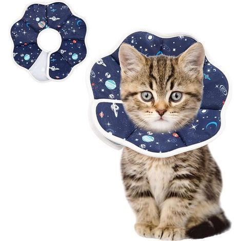 (Blaues) Katzenhalsband – Verstellbar – Bissfest – Schutz – Genesung – Größe S (1/4)