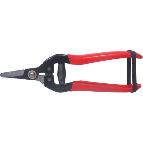 Utilia FORBICI COGLIUVA LAMA CURVA cm. 16 10.00 pz