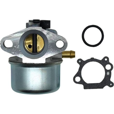 Compatible with 799868 Carburetor for 799868 694202 693909 692648 497586 498254 497314 497347 497410 799872 79082 1 698 444 Carb (1/5)