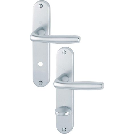 Poignée de porte HOPPE Roissy sur plaque 165 mm aluminium gris clair (1/2)
