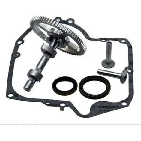 Arbres à cames Briggs & Stratton 793880 793583 792681 791942 795102 Kit de remplacement de came (1/4)