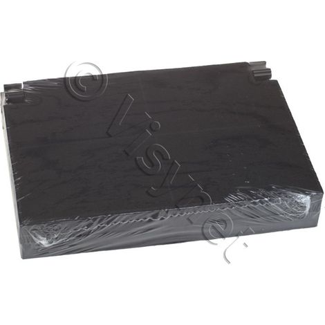 Universel - convient pour electrolux filtre charbon (zn) eff55 alt pack de 2 pièces - 50232980008