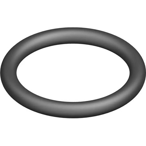 BOSCH O-Ring 18,7x2,7 (10x), 87186404140