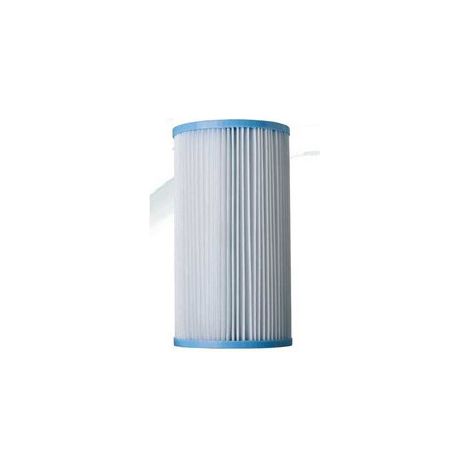 Gre-Pools Cartouche AR121 AR118 Bleu et Blanc (1/5)