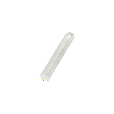 Ampoule anti insectes 40W forme U - 4 pins - G10q - FUL40T8BL - Bailey