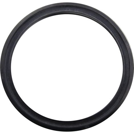 BOSCH Lippendichtung DN80, 87182234720 (1/2)