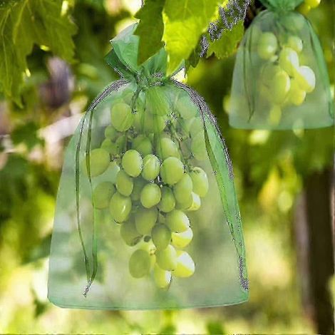 Netzgewebe-Schutzbeutel für Obst, Packung mit 100 Stück, Größen 30x20cm und 23x17cm, Schiebeverschluss gegen Wespen und Vögel, perfekt für Trauben und Beeren. (1/5)