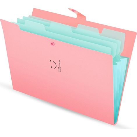 Dossier Accordéon A4 - 5 Compartiments - Matière PP - Fermeture À Cliquet - Portable Et Extensible (1/5)