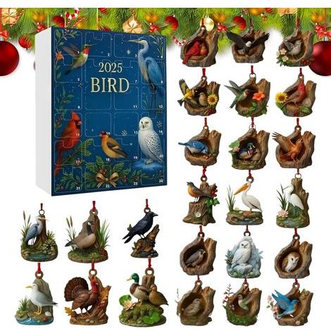Calendario de Adviento Navideño, Acrílico Plano 2D, Diseño de Pájaro, Cuenta Regresiva de 24 Días, con Colgantes, para Vacaciones, Cumpleaños, Fiestas, Dormitorios, Cocinas, Coches, Bolsos (1/5)