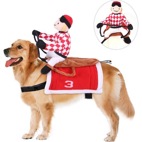Costume d'équitation pour animaux de compagnie pour Noël, vêtements de chevalier pour chien (1/4)