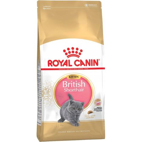 Royal Canin Brit Shorthair Trockenfutter für Katzen, 2 kg (1/5)