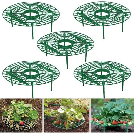 Tuteurs ronds pour fraisiers - plastique vert - Lot de 5 supports pour fraisiers - Support réglable pour fraisiers, treillis, étagère de jardin pour balcon et potager - Maintient les fruits surélevés (1/5)