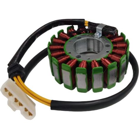 DT351006 motorcycle generator stator coil is suitable for Bajaj Pulsar RS200 RC125 (1/4)