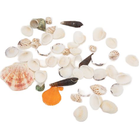 Petits coquillages naturels mélangés pour la décoration d'aquarium et la décoration de plage. (1/5)