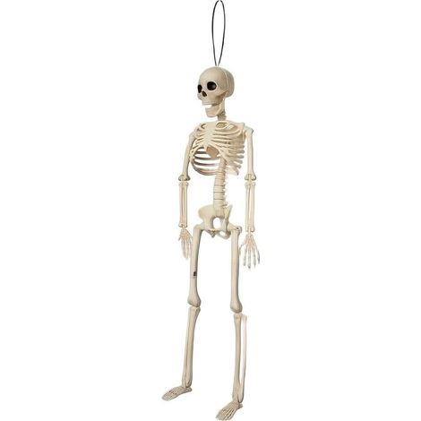 Squelette Articulé Halloween 40cm Pose Assise Mâchoire et membres mobiles, poses assises ou pendues, pour idéal porche et coffre décoratif (1/5)