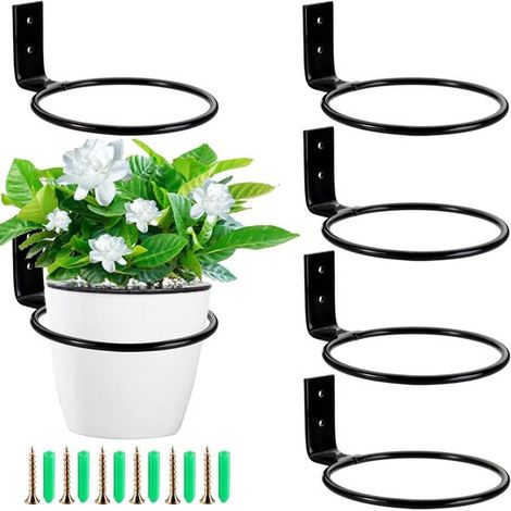 KZQ 6-teiliges Wandblumentopf-Set Pflanzenstützring Pflanzenhänger Hängeblumentopf Blumentopfhalter mit Ring Metall-Pflanzenhänger 10 cm schwarz (1/5)