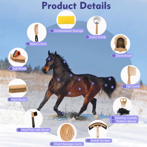 Kit de Toilettage pour Cheval 11 Pièces avec Sac de Transport Brosse Étrille Cure-Pied et Peigne pour Équitation Accessoires de Nettoyage et Soin Équins (1/5)